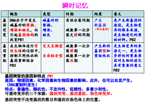 15基因突变突变重组 课件-山东省昌乐二中2020高考生物二轮复习(共19张PPT)