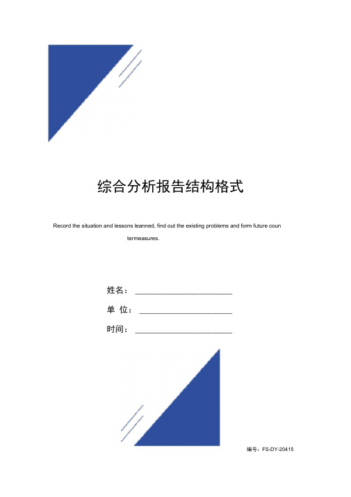 综合分析报告范本结构格式