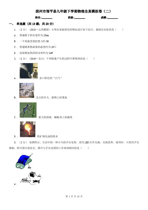 滨州市邹平县九年级下学期物理全真模拟卷(二)