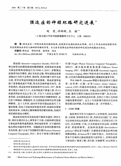 强迫症的神经环路研究进展