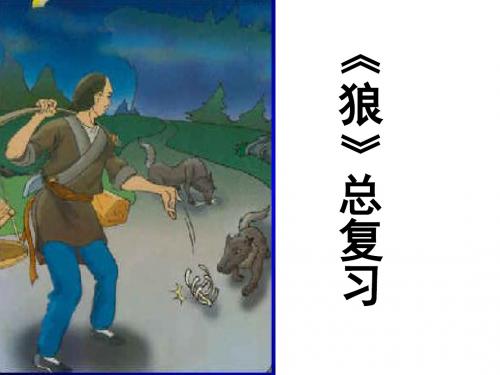 《狼》总复习