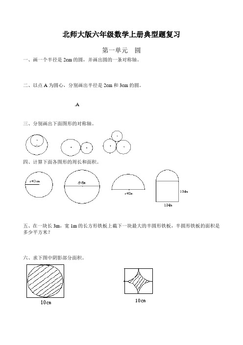 北师大版六年级上册数学期末总复习典型试题