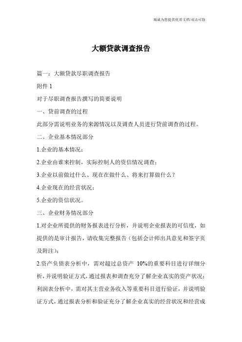 大额贷款调查报告