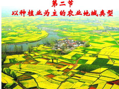 高一地理——3.2以种植业为主的农业地域类型