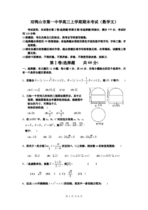 2014届黑龙江省双鸭山市第一中学高三上学期期末考试文科数学试题(含答案详解)