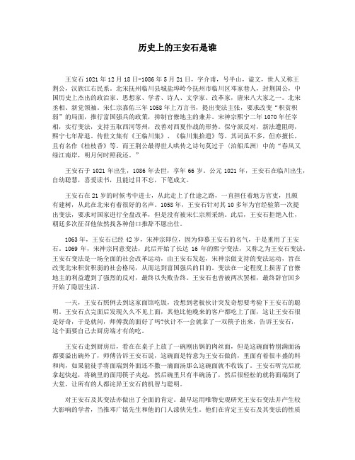 历史上的王安石是谁