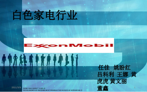 白色家电行业分析(1)