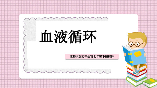 初中生物北师大版七年级下册《第9章第2节第2课时血液循环》课件PPT模板