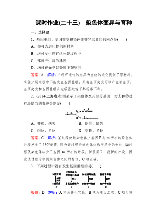 高考生物一轮复习课时作业23染色体变异与育种