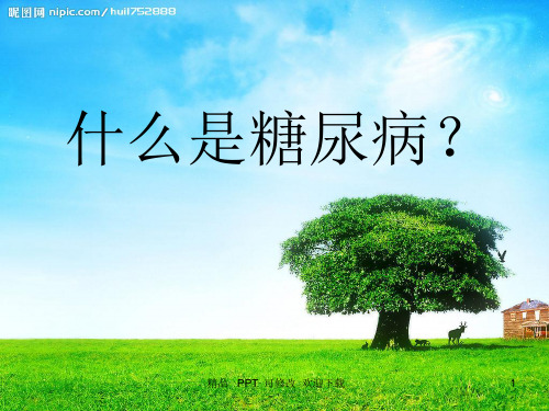 糖尿病教学课件
