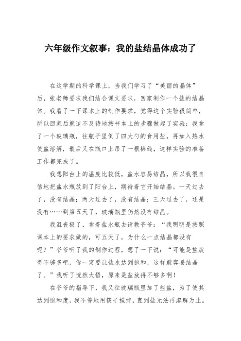 六年级作文叙事：我的盐结晶体成功了