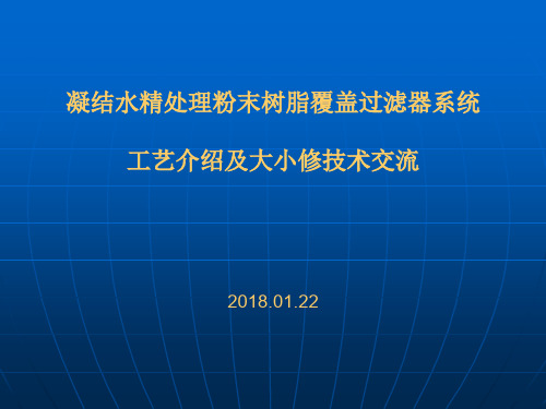 精处理粉末树脂覆盖过滤器工艺介绍与大小修管理技术交流