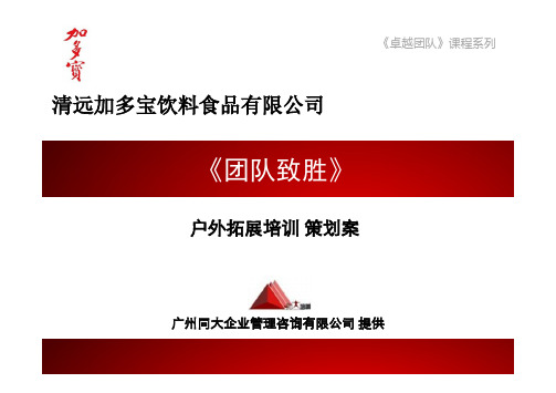 团队拓展之团队致胜