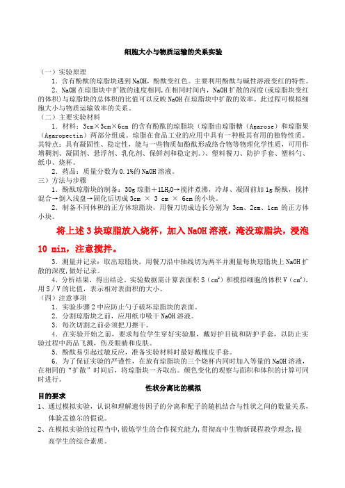 细胞大小与物质运输的关系实验