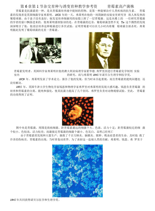 文档：青霉素高产菌株