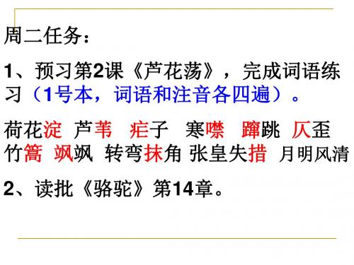 (最新)人教版八年级语文上册《芦花荡》优质课课件(共47张PPT)