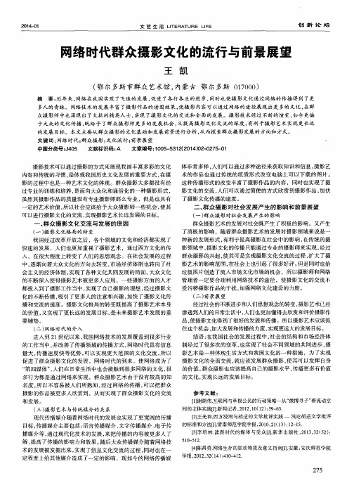 网络时代群众摄影文化的流行与前景展望