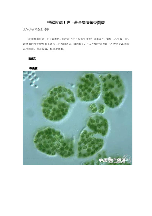 提醒珍藏史上最全高清藻类图谱