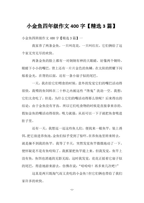 小金鱼四年级作文400字【3篇】