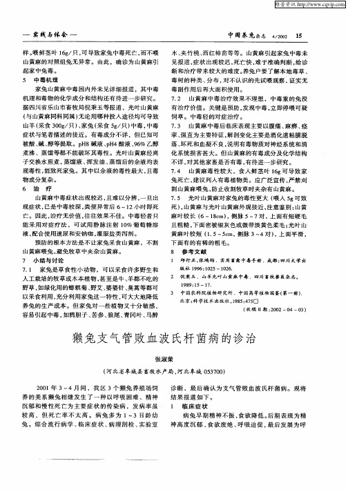 獭兔支气管败血波氏杆菌病的诊治