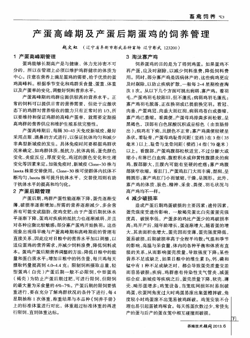 产蛋高峰期及产蛋后期蛋鸡的饲养管理