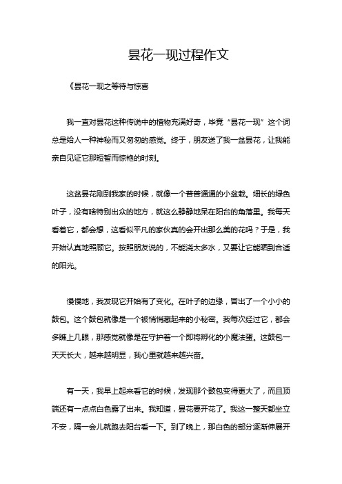 昙花一现过程作文
