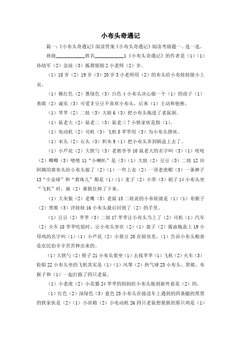 最新-小布头奇遇记1 精品