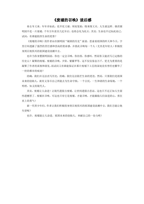 《废墟的召唤》读后感