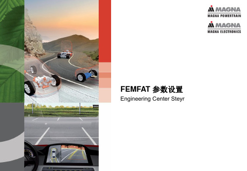 FEMFAT参数设置