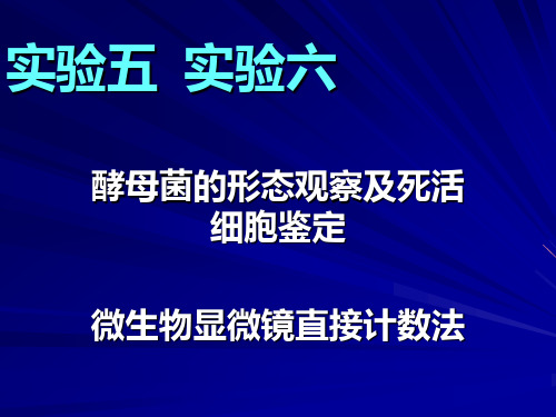 实验五实验六酵母菌形态观察显微计数法