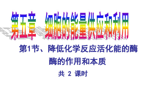 人教版生物必修一5.1《降低化学反应活化能的酶-酶的作用和本质》课件(2课时)(共55张PPT)