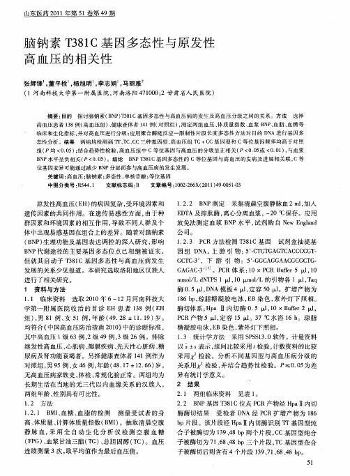 脑钠素T381C基因多态性与原发性高血压的相关性