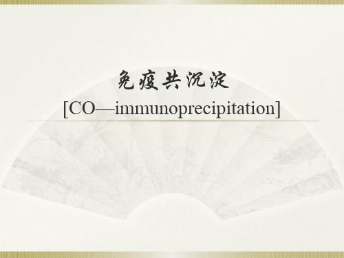 免疫共沉淀ImmunoprecipitionIP