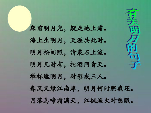 人教版六年级上册第八单元《月光曲》