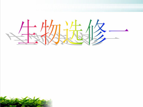 人教版生物选修一《果酒和果醋的制作》实用完美课件