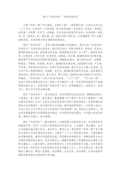 践行四讲四有