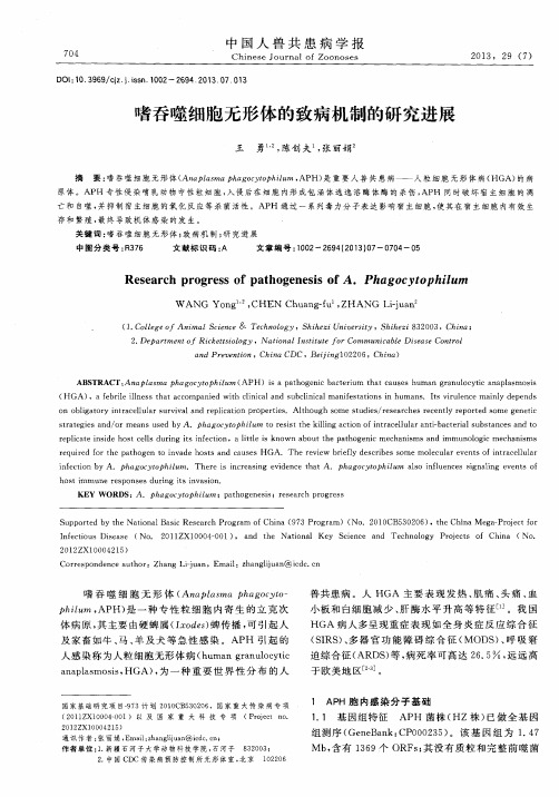 嗜吞噬细胞无形体的致病机制的研究进展