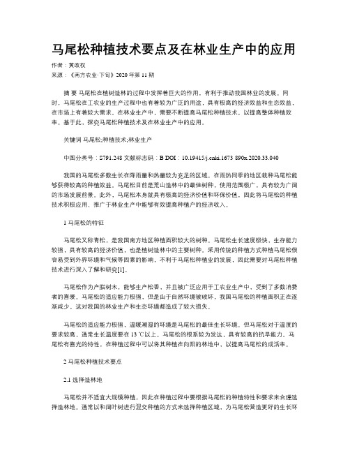 马尾松种植技术要点及在林业生产中的应用