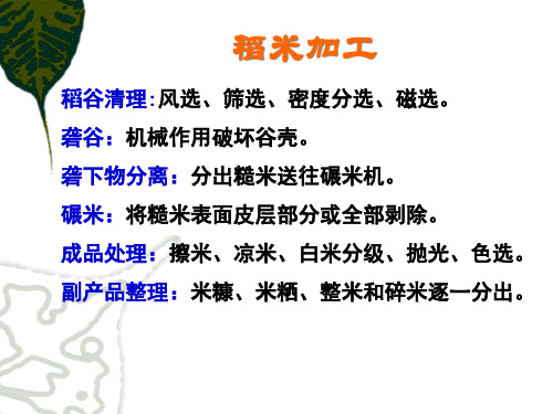 农产品加工-稻米加工面粉加工泡菜制作等