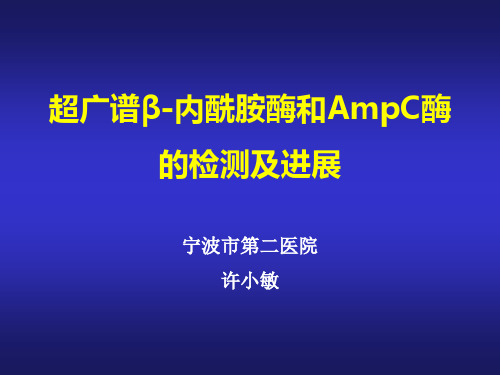 超广谱内酰胺酶和AMPC酶进展