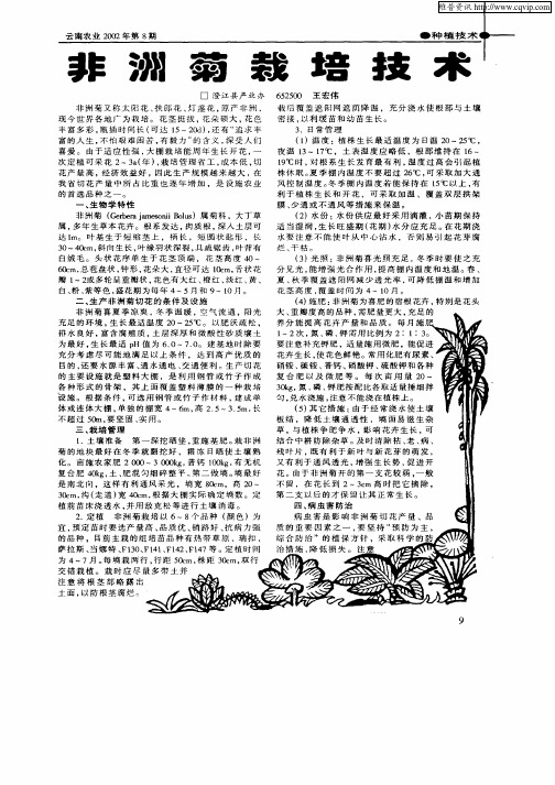 非洲菊栽培技术