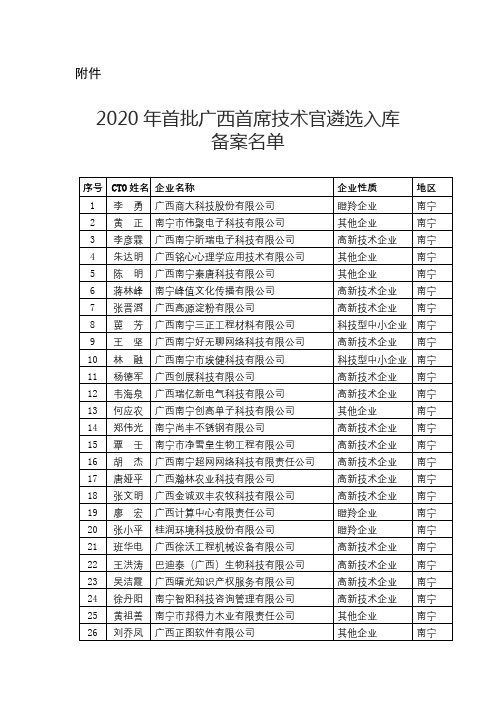 2020年首批广西首席技术官遴选入库备案名单【模板】