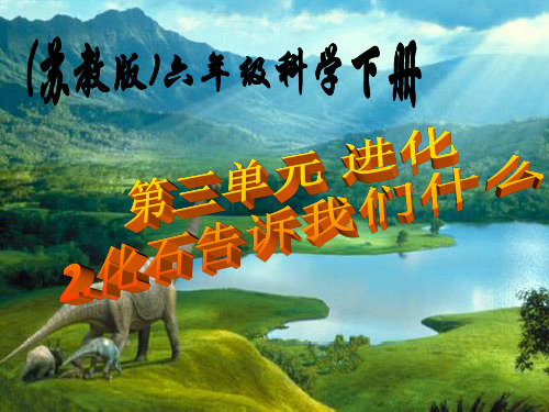 小学科学【苏教版】化石告诉我们什么PPT精美课件1