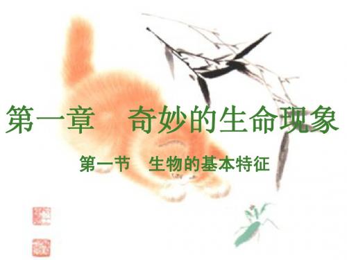 第一节、生物的基本特征
