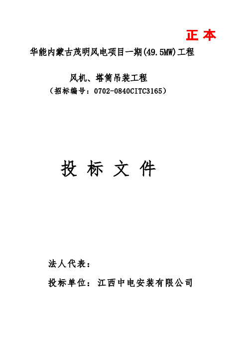 华能风电投标文件