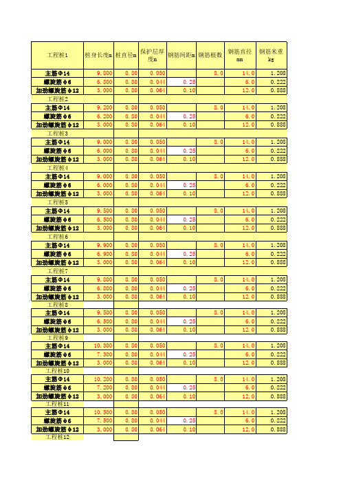 人工挖孔灌注桩基础模板(800)-