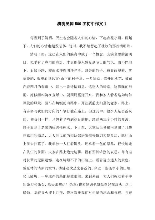 清明见闻500字初中作文精选范文