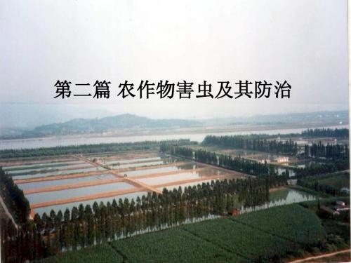 害虫防治原理和方法