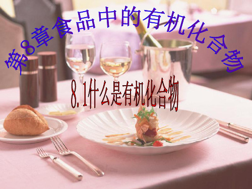 第1节什么是有机化合物