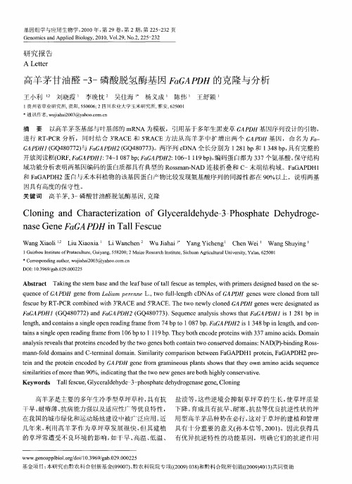 高羊茅甘油醛-3-磷酸脱氢酶基因FaGAPDH的克隆与分析